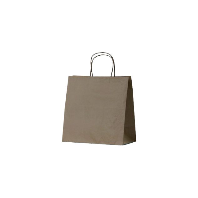 [BE-BKPB-S-NP] BetaEco Kraft Bag S (280x280x150)