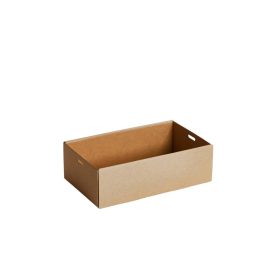 [ECT1] Catering Tray 1