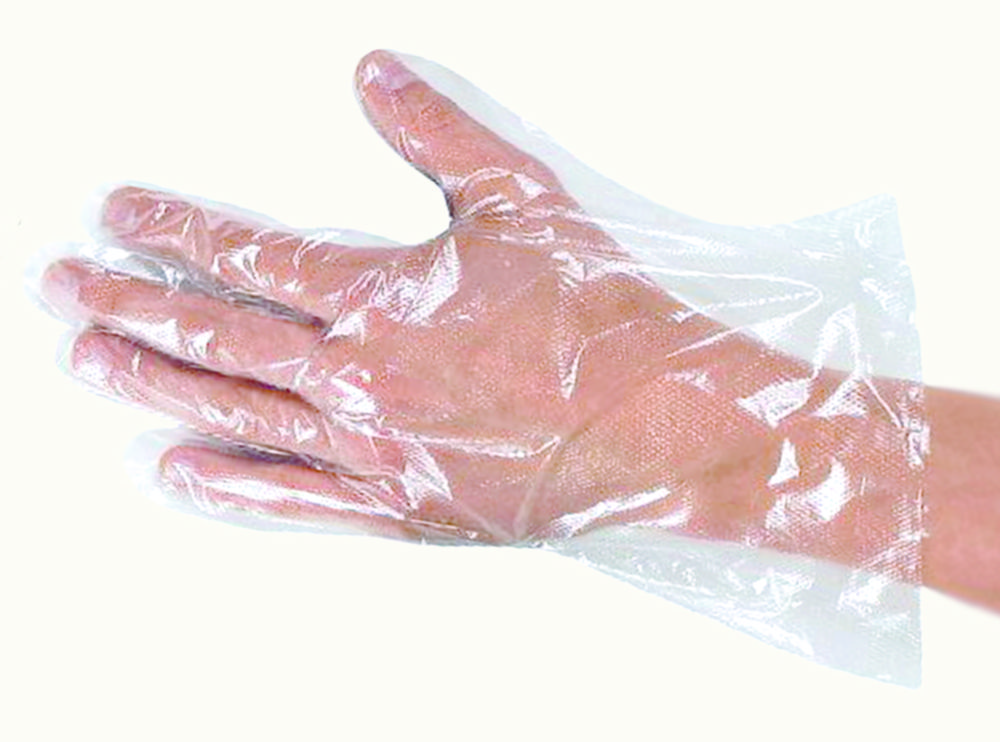 [GLPL] GLOVES - LDPE CLEAR EMBOSSED LARGE